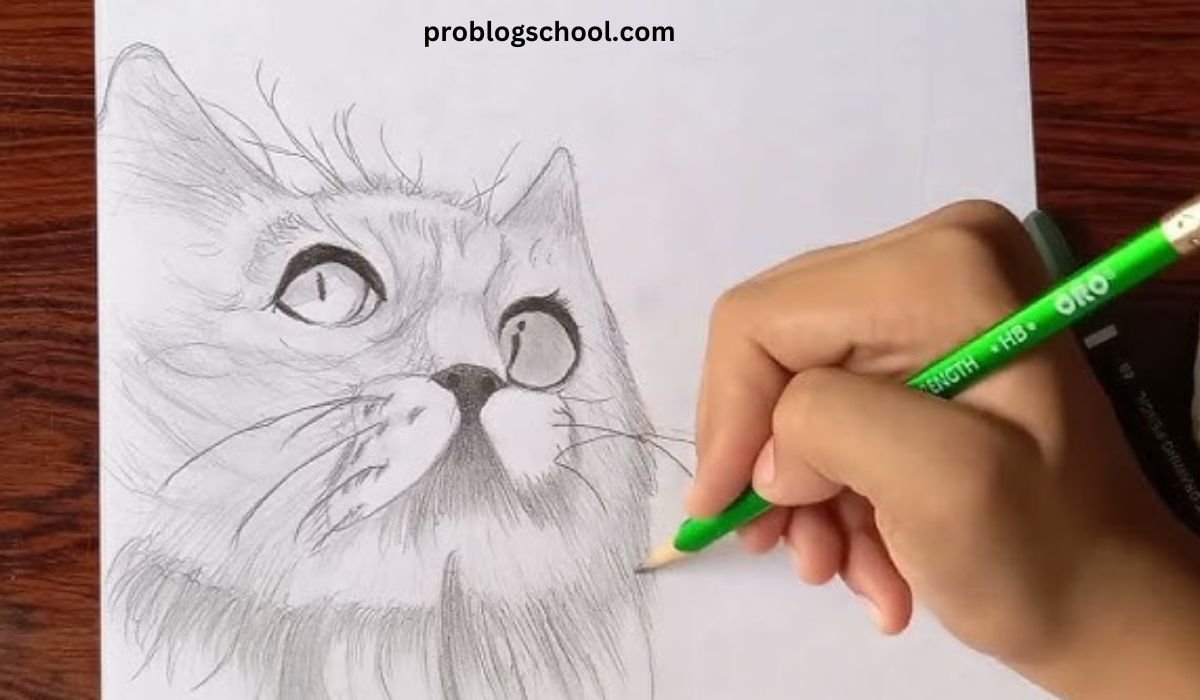 drawing:a4z_-ymtkr8= cat