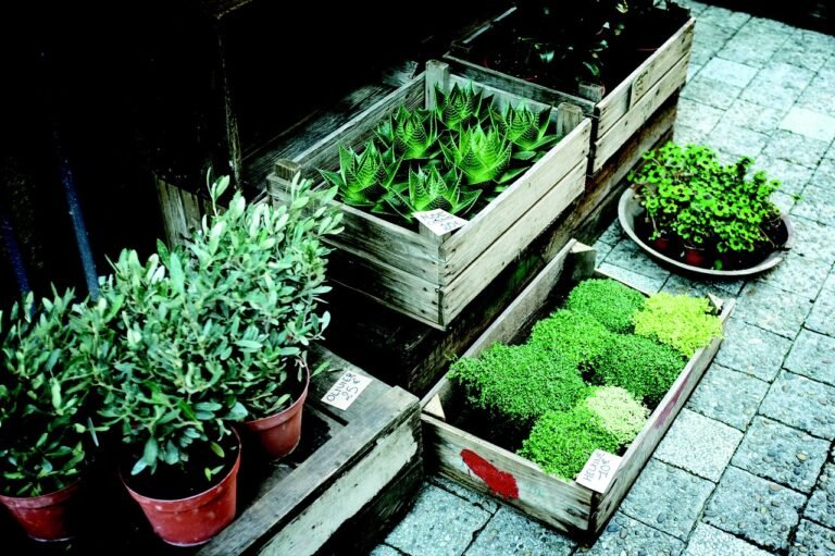 the benefits of plant nurseries webfreen.com